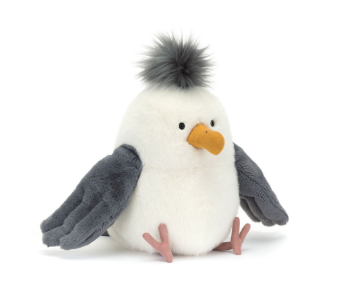 Chip Seagull