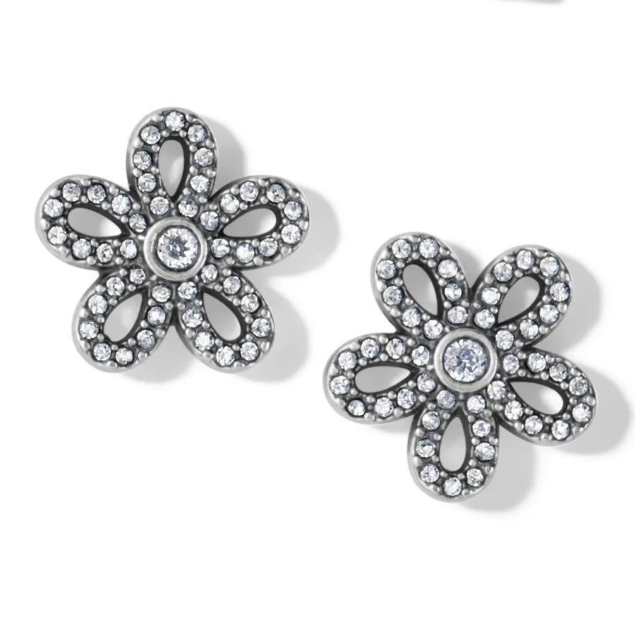 Illumina Daisy Post Earrings