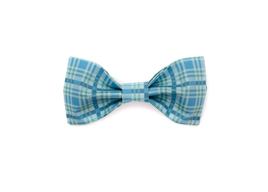 The Camden Bow tie
