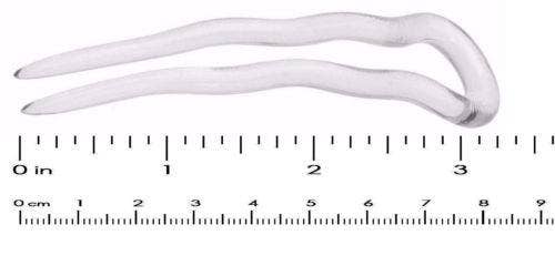 Parcelona French Mystic Medium 3" Cellulose Chignon U Shaped Hair Pins(Set of 2)