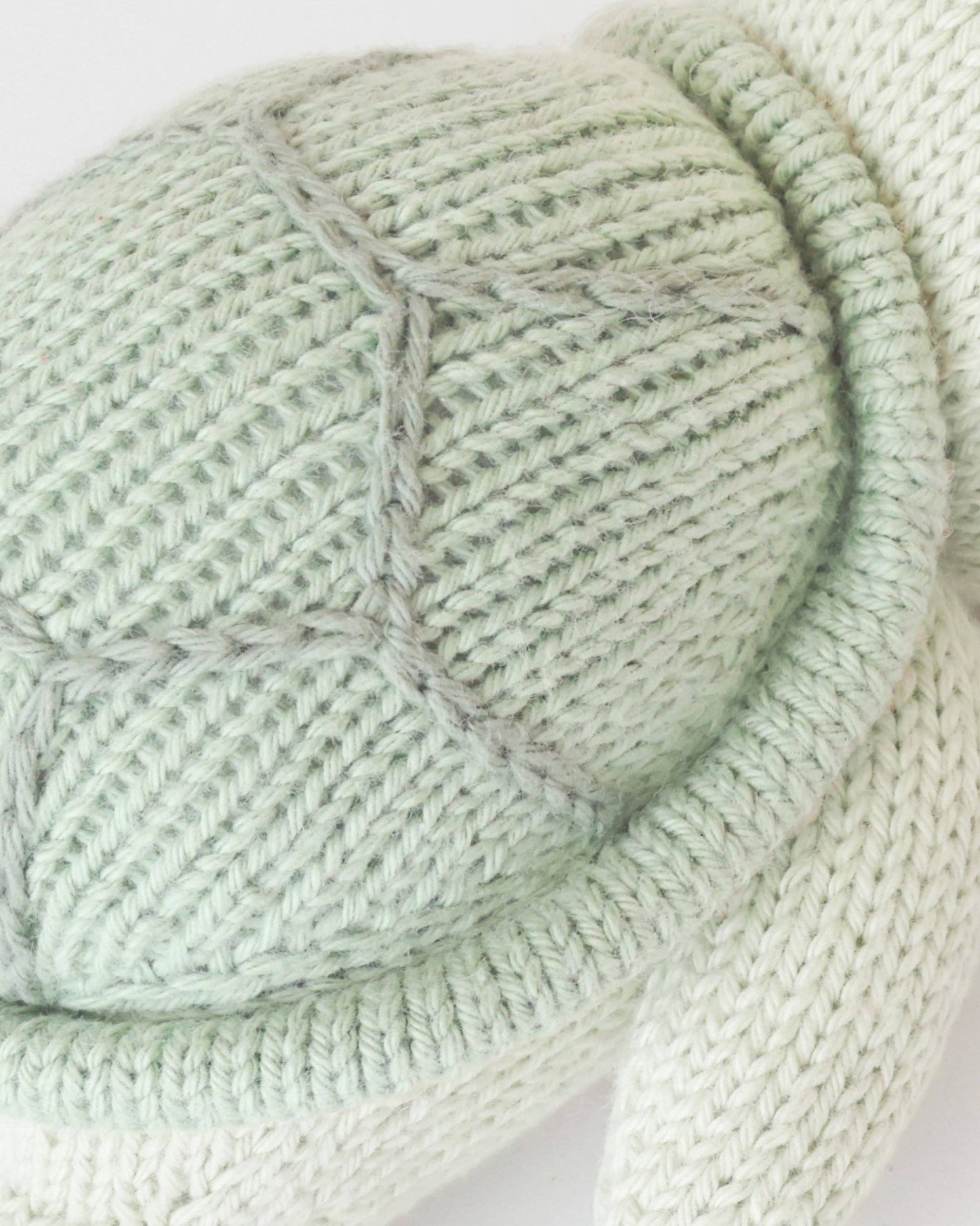 Baby sea turtle (kelp green)