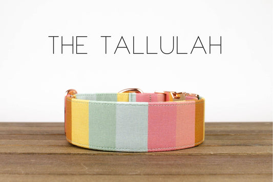 The Tallulah Collar