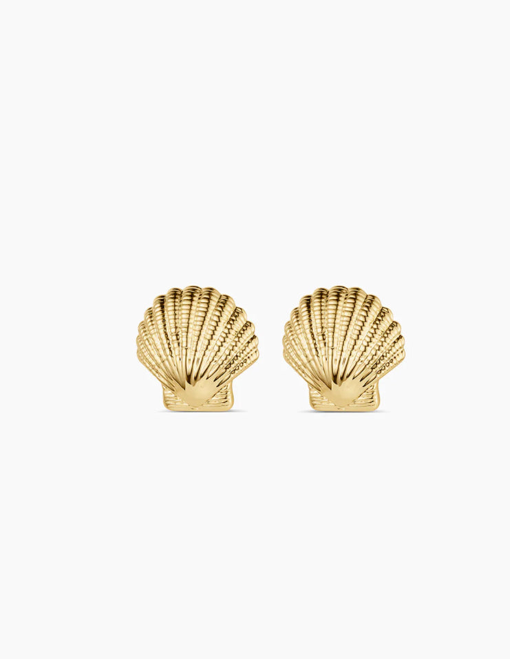 Shell Statement Studs