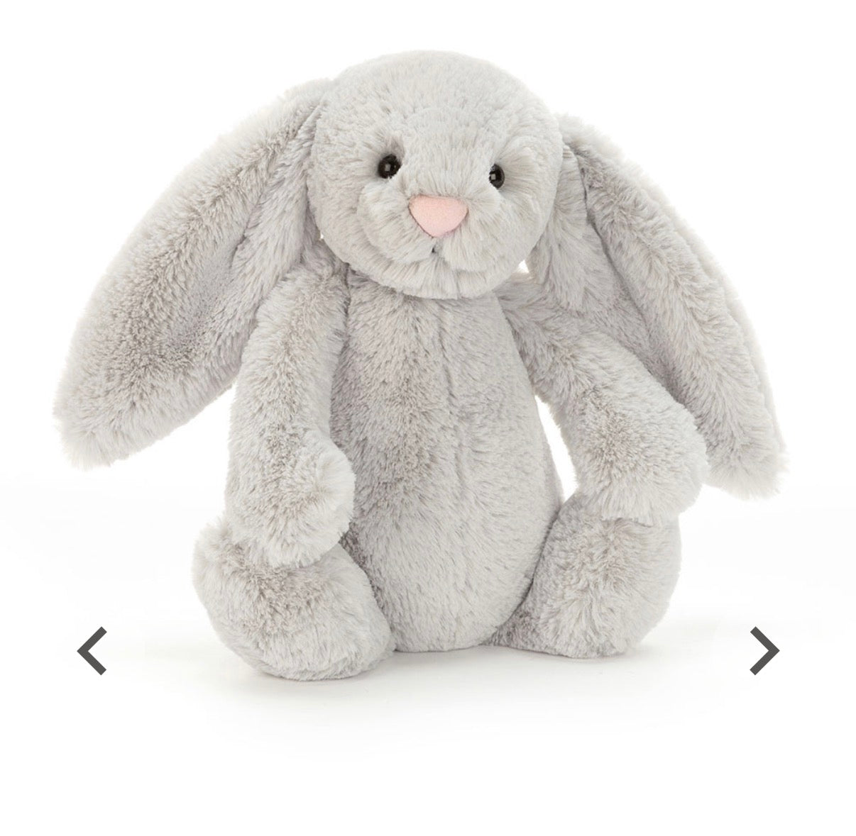 Bashful Grey Bunny