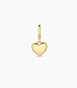 Armour Helium Heart Parker Charm