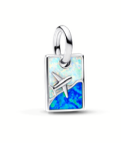 Travel Dangle Charm