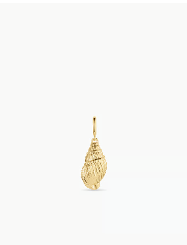 Gold Tulip Shell Parker Charm