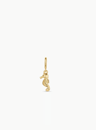 Seahorse Parker Charm