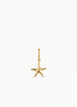 Starfish Parker Charm