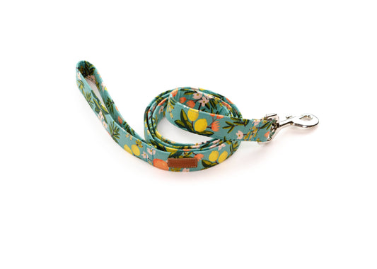 The Georgia Leash