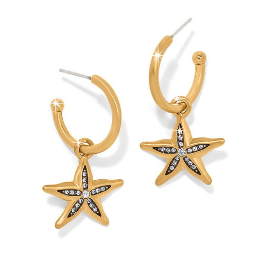 Twilight Waters Starfish Hoop Earrings