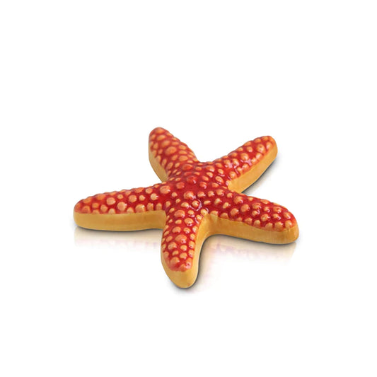 Starfish Mini