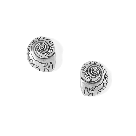 Shell Post Earrings